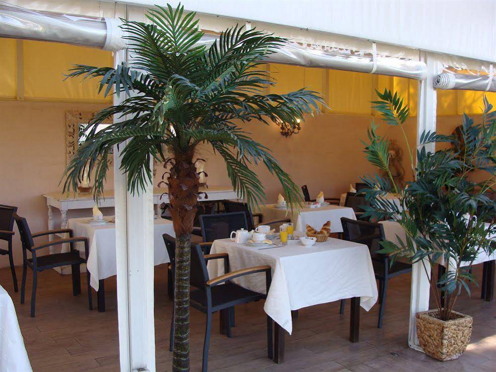 Les Santolines