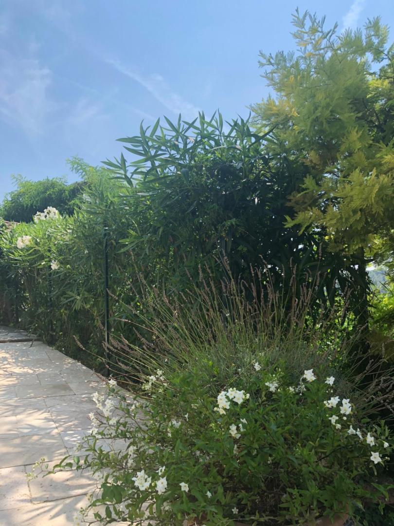 Villa Mimosa