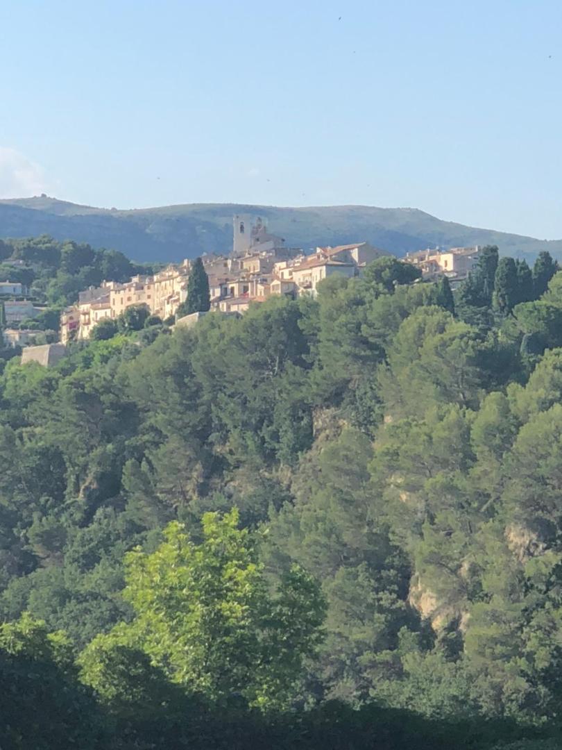 Villa Mimosa