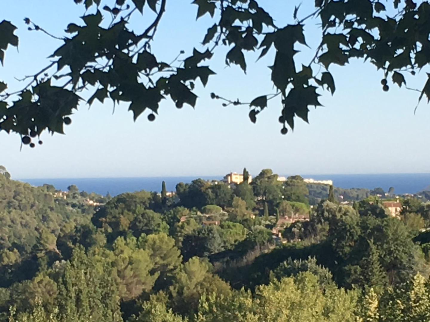 Villa Mimosa