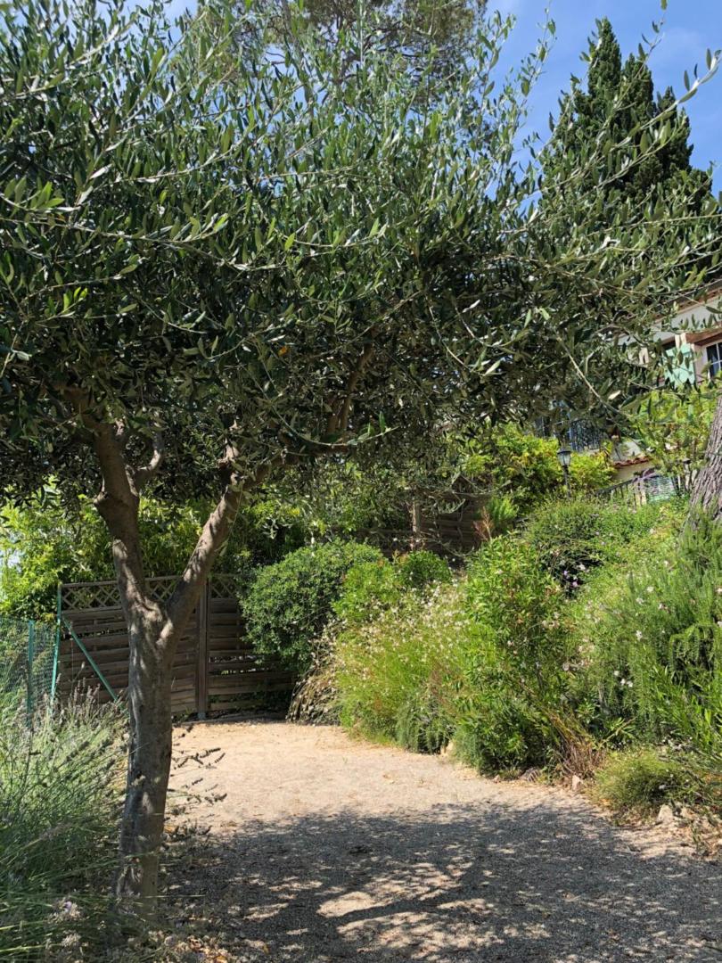 Villa Mimosa