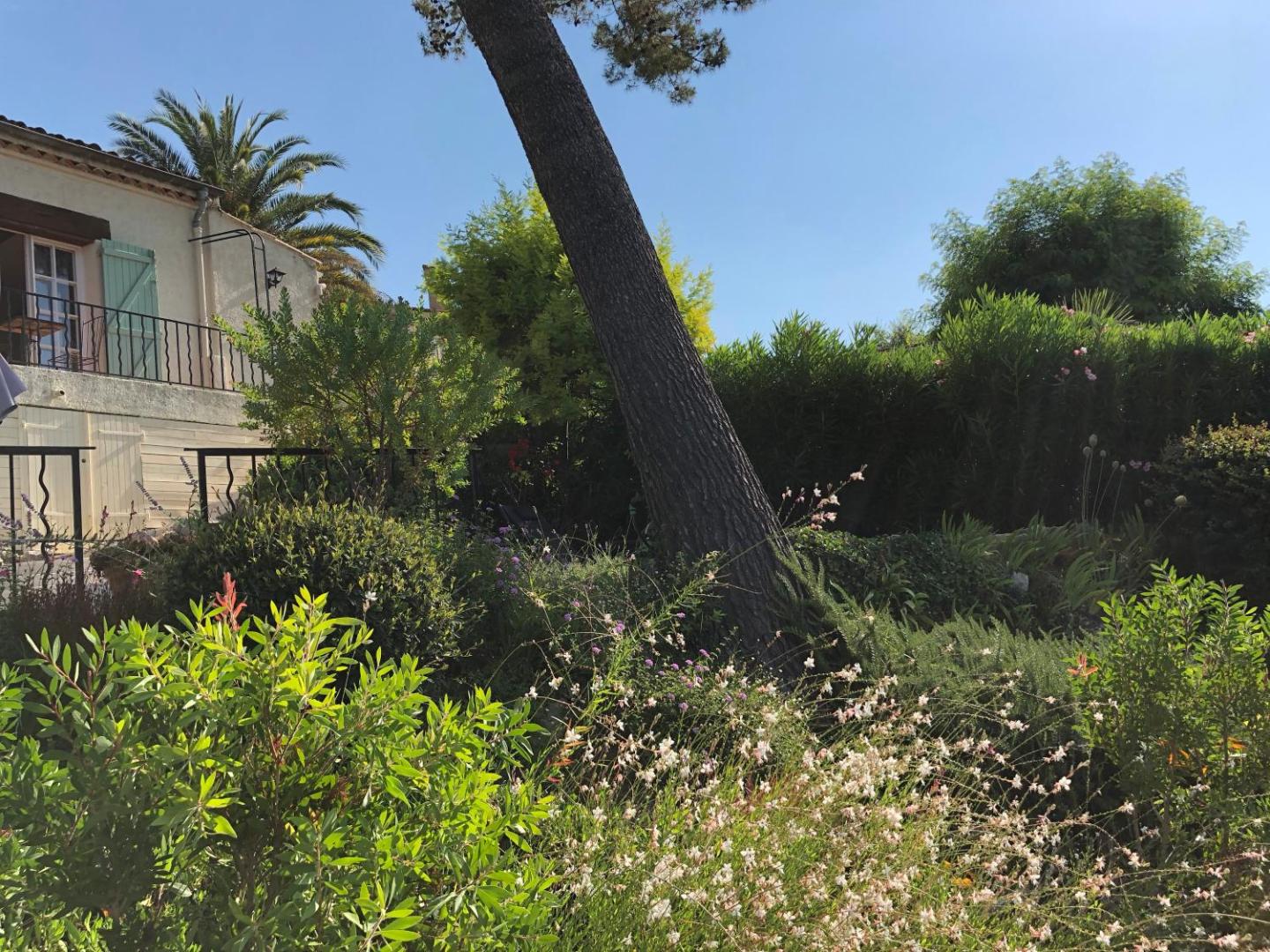 Villa Mimosa
