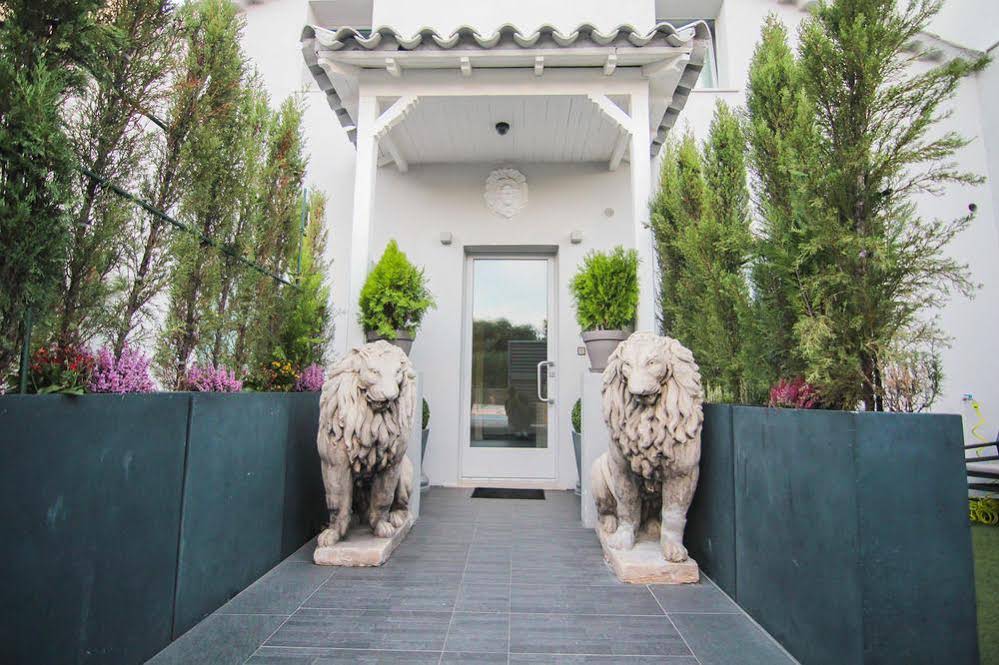 Lion Blanc
