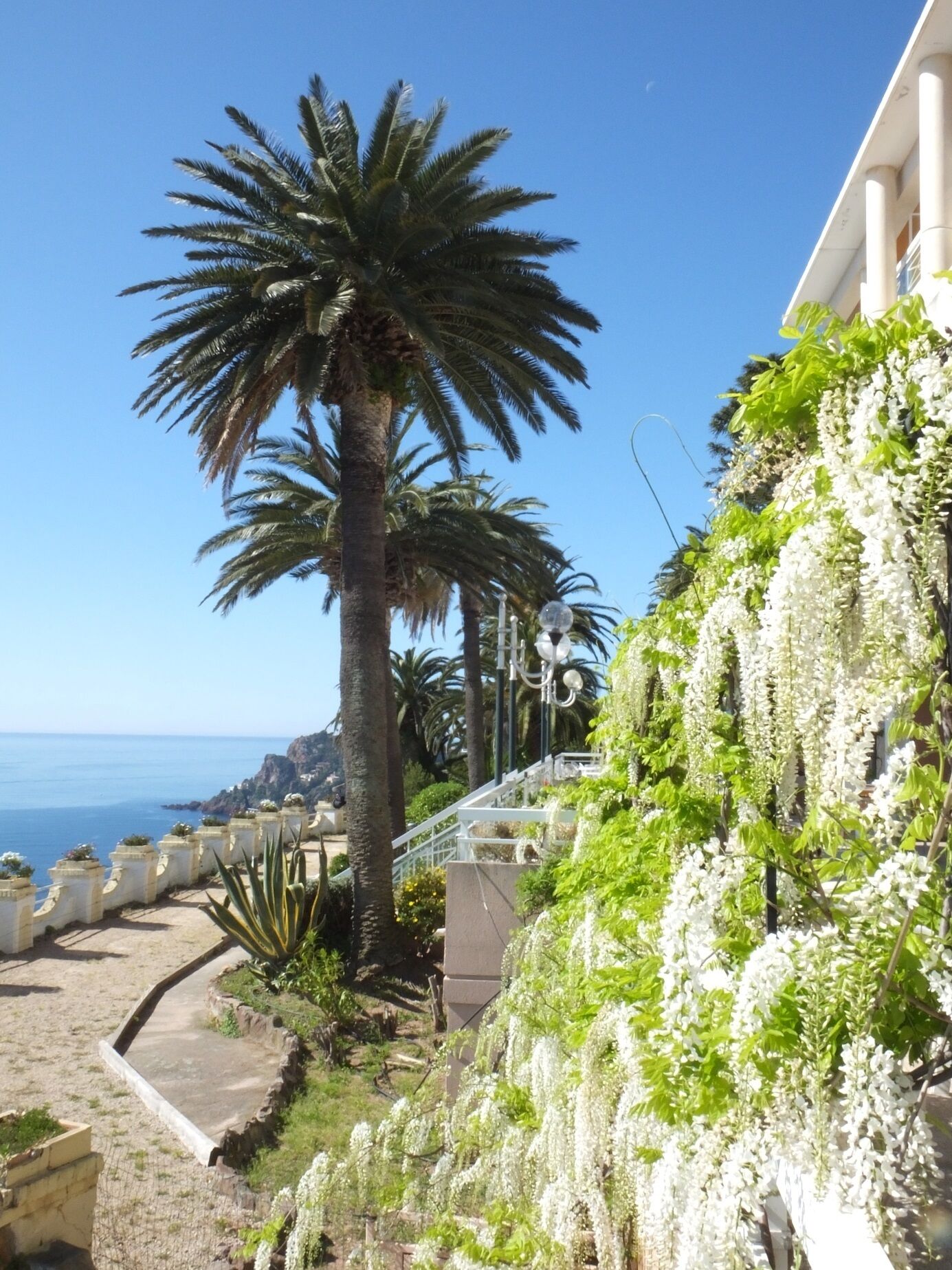 Villa Saint Camille