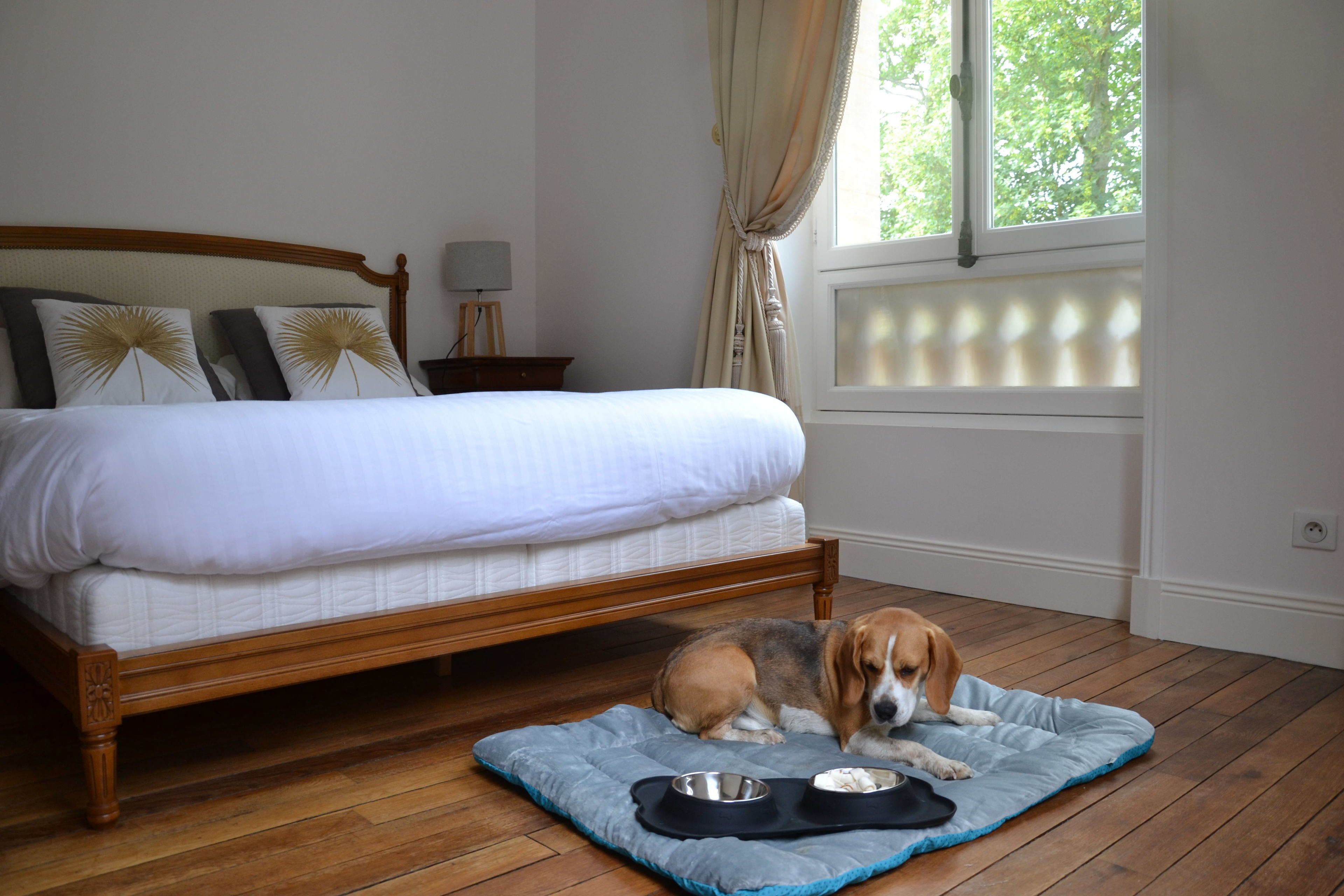 Chateau Cote De Nacre