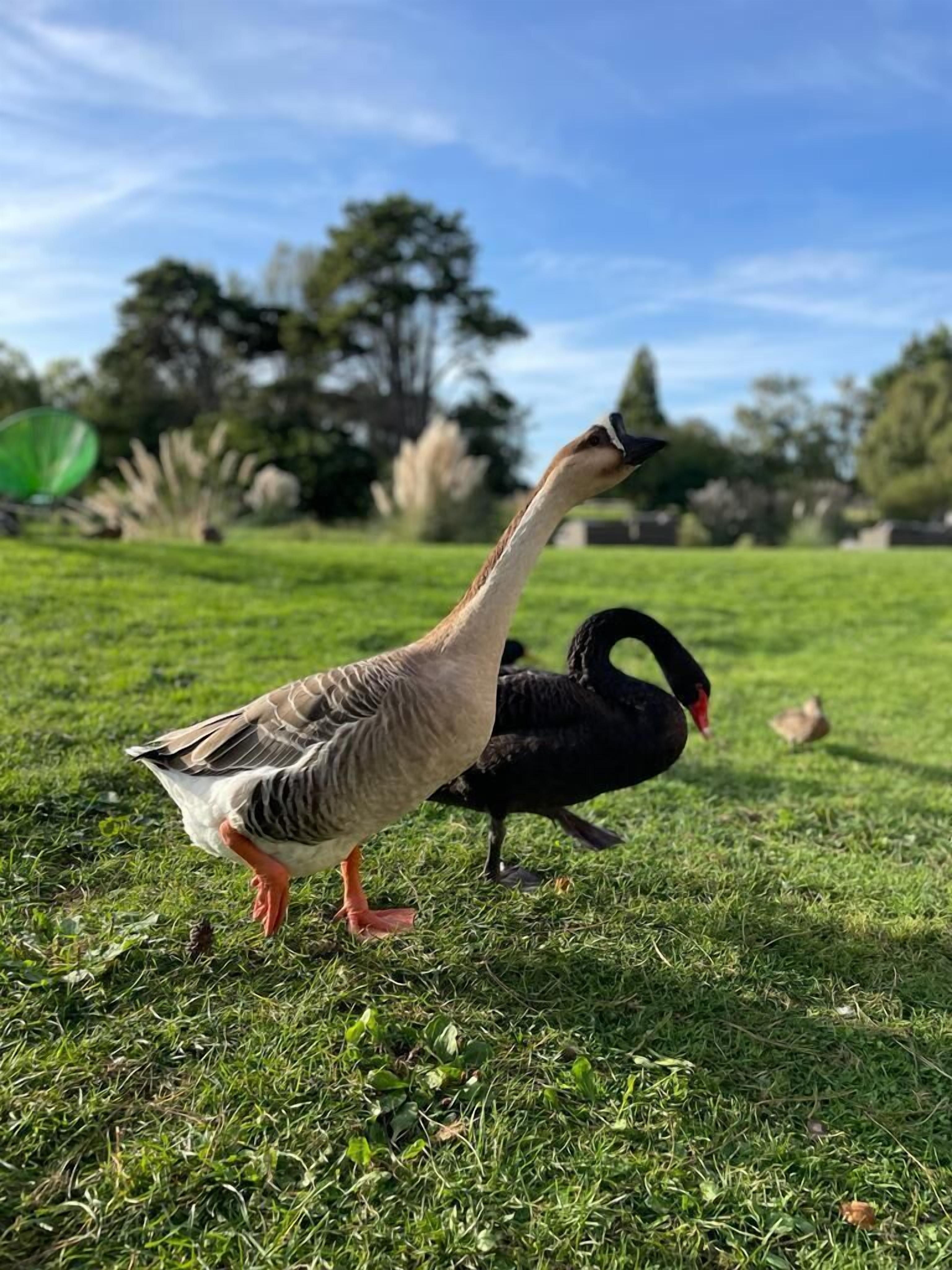 Chateau Cote De Nacre