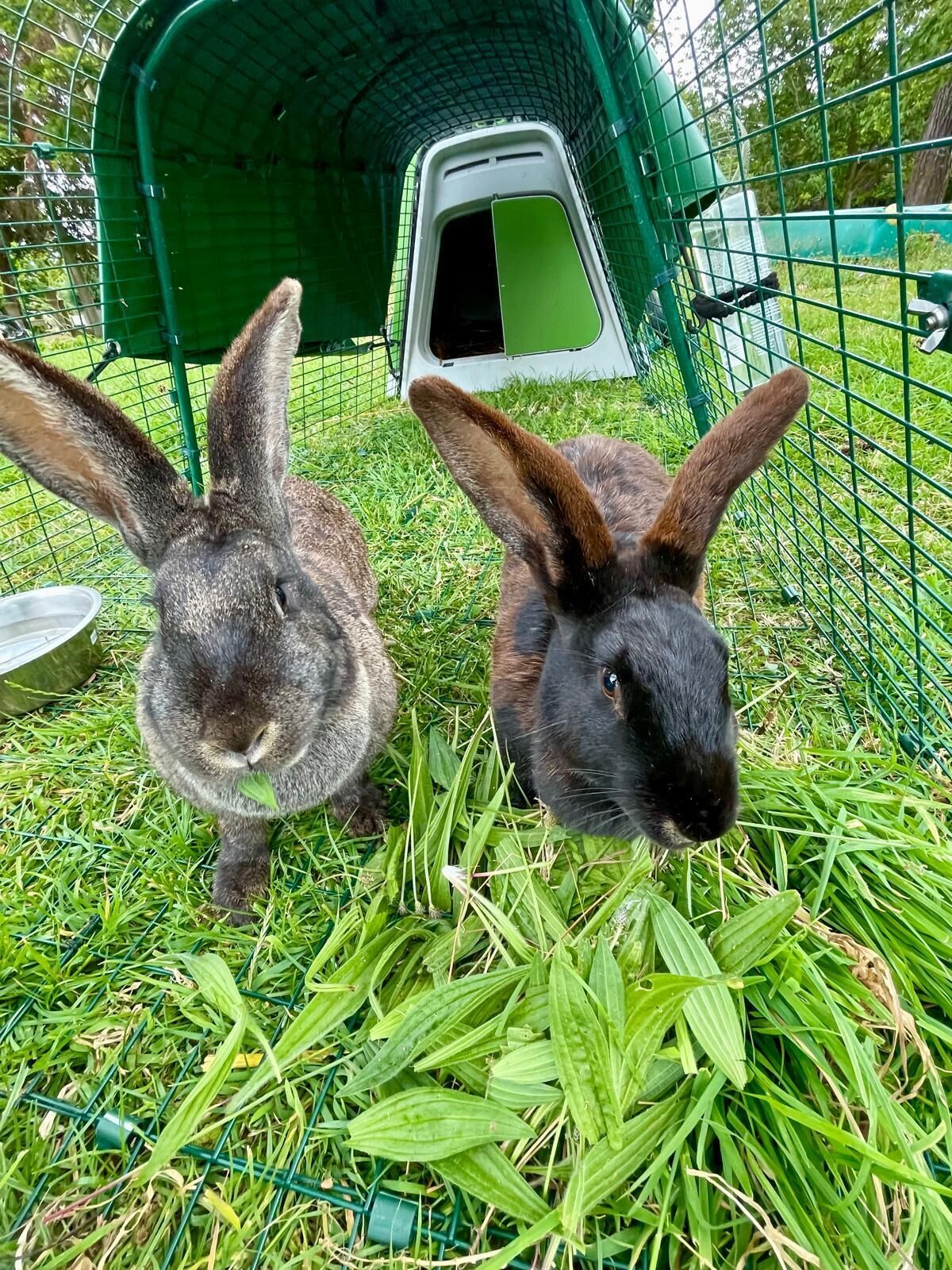 Chateau Cote De Nacre