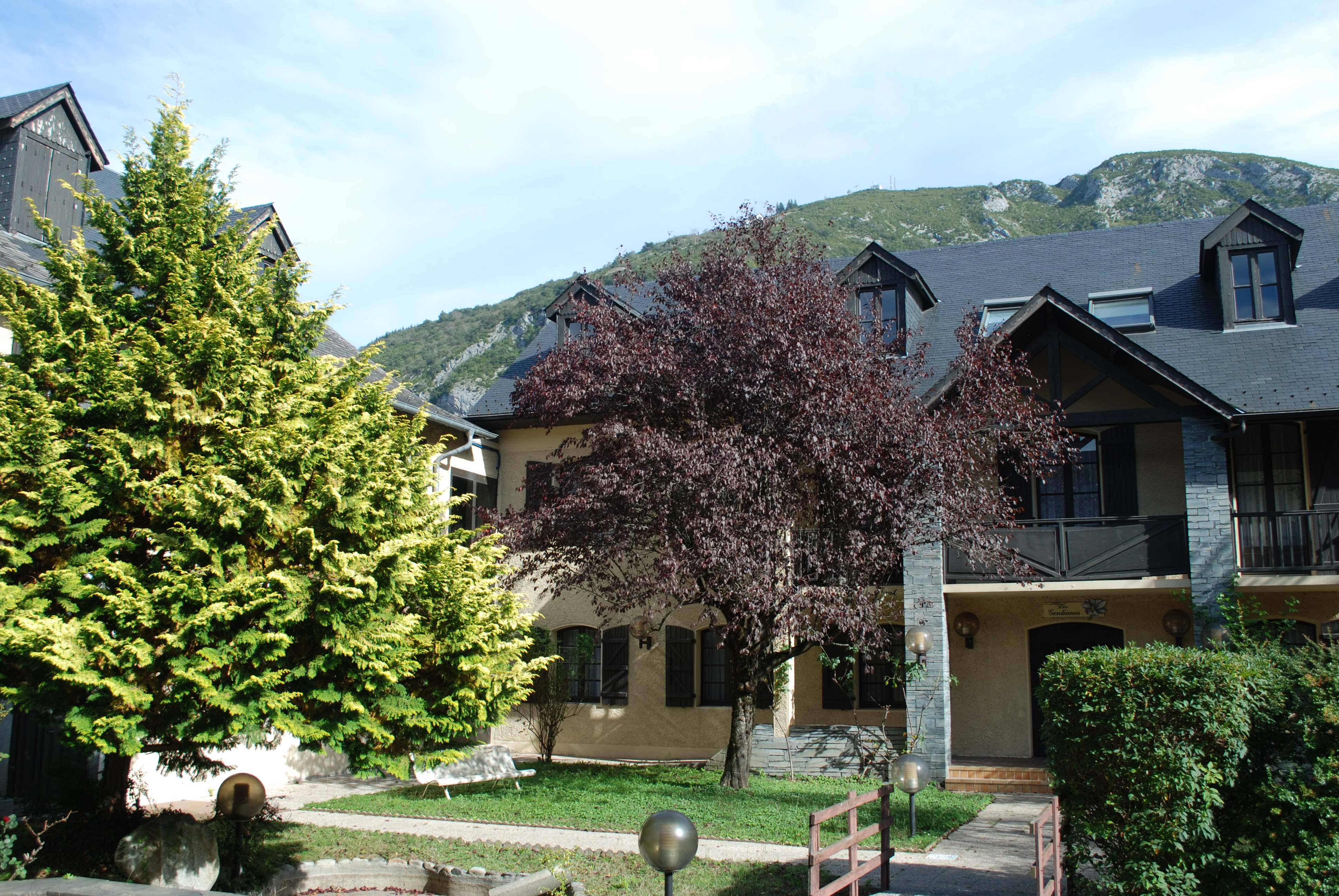 Hôtel Les Gentianes