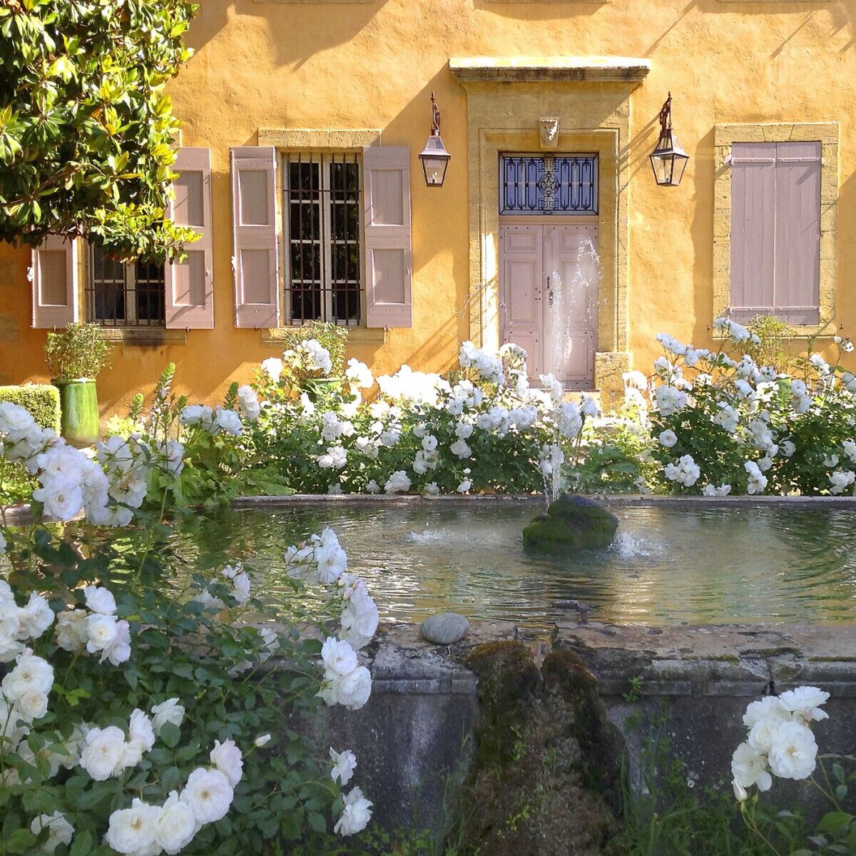 Le Pavillon De Galon