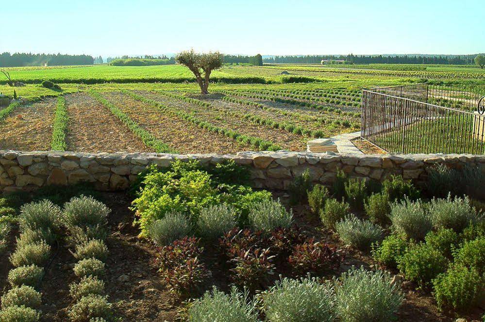Entre Vigne et Garrigue