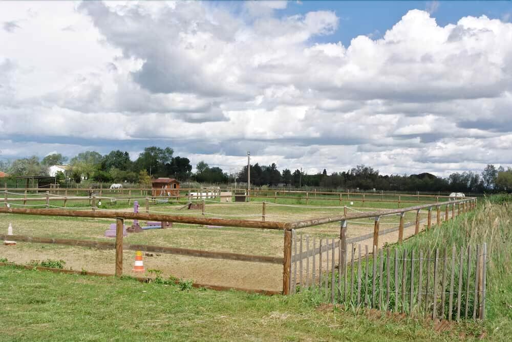 Mas Trinita-Gite Equestre En Camargue