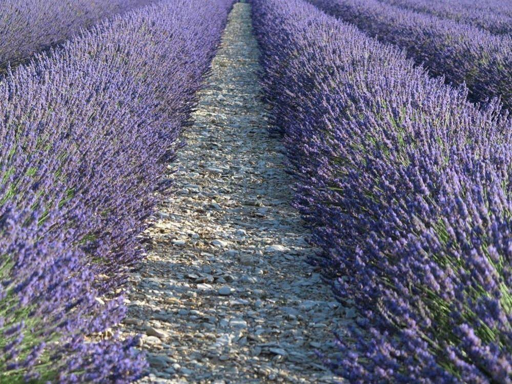 La Parenthèse Banon