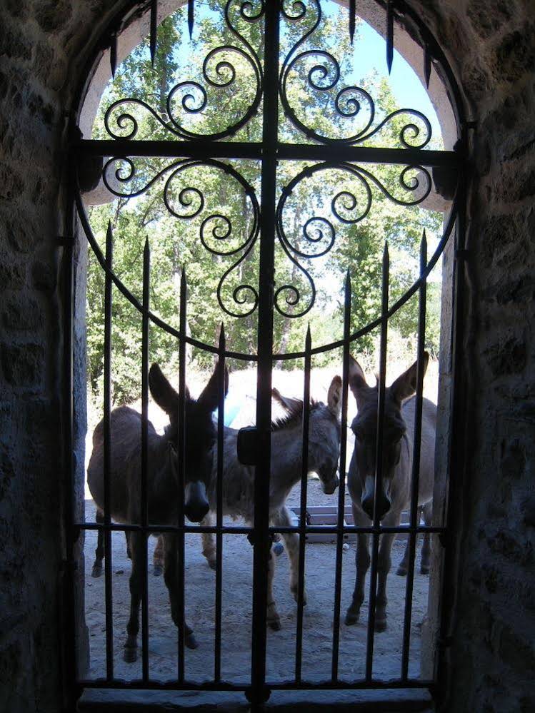 Une Campagne en Provence