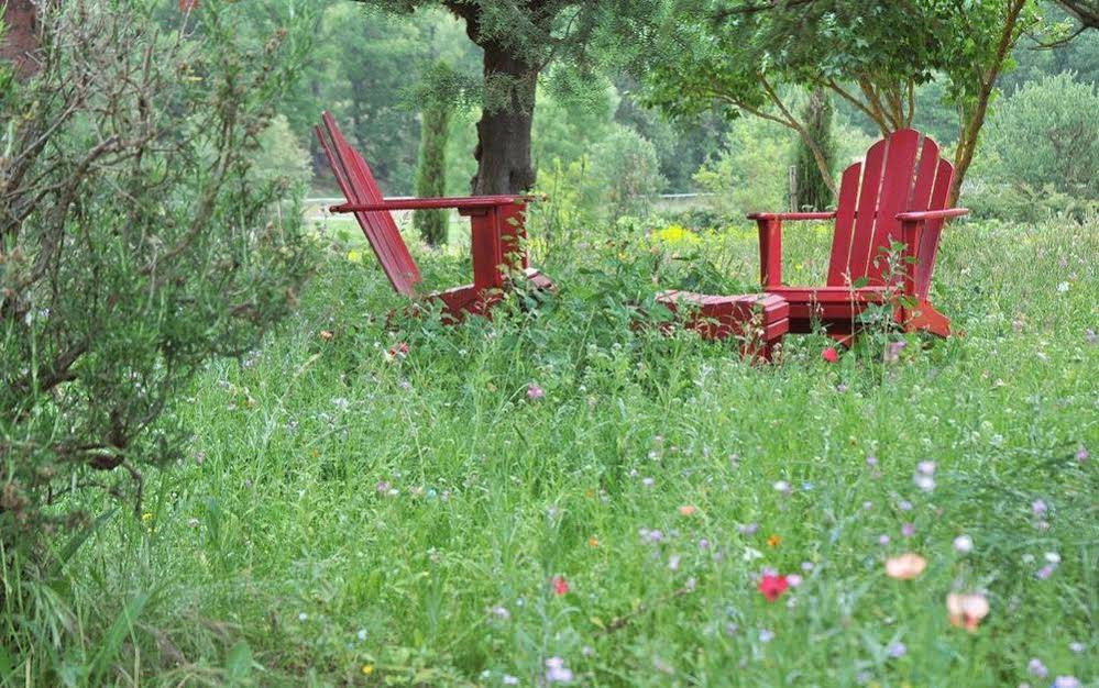 Une Campagne en Provence