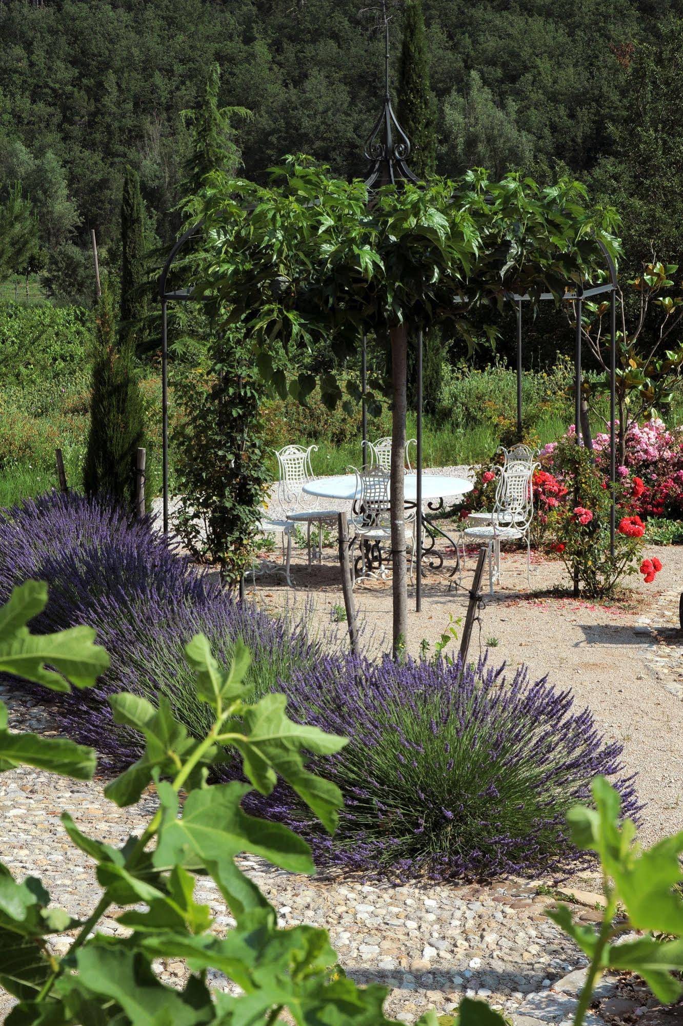 Une Campagne en Provence