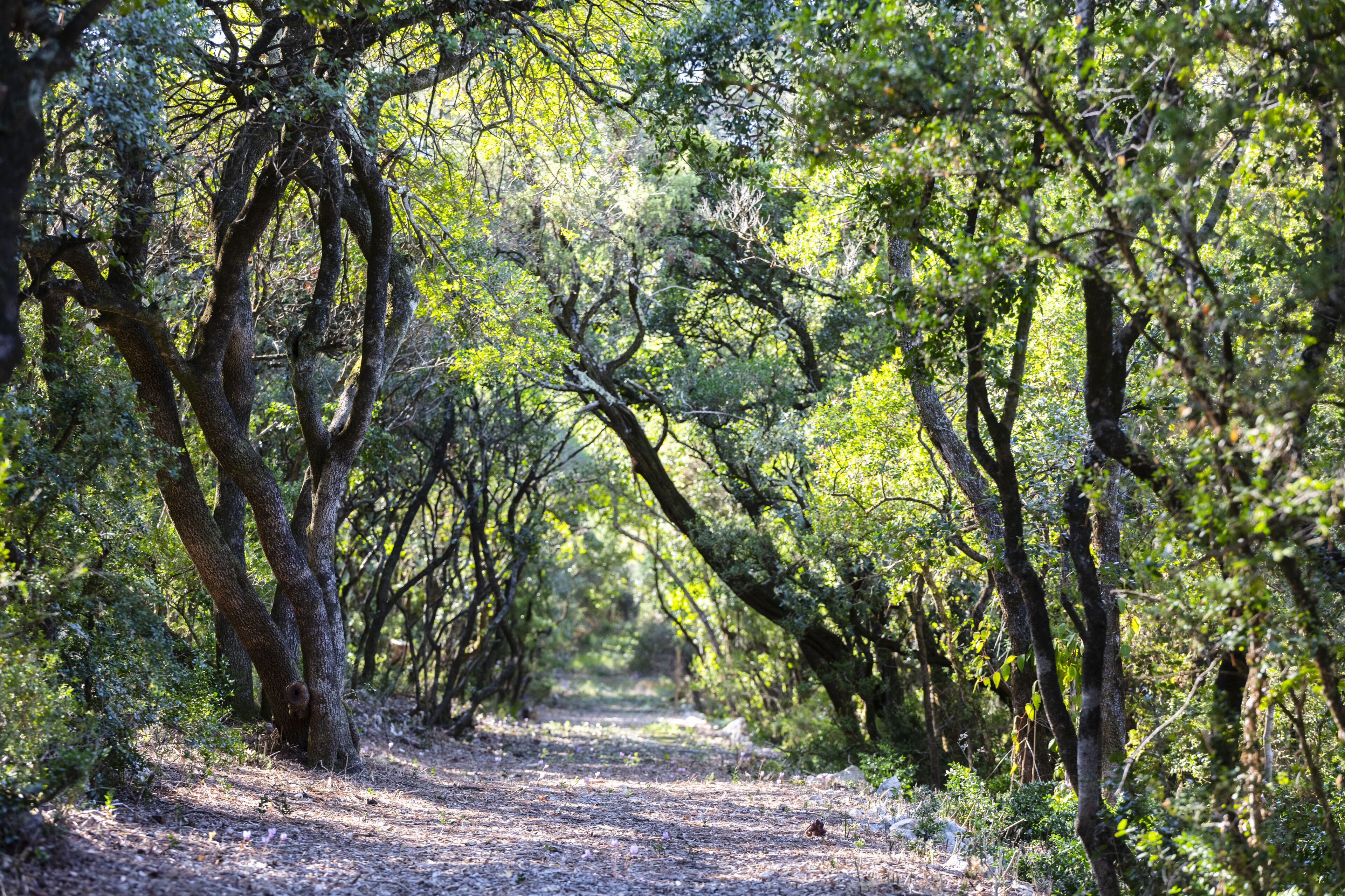 Chateau De Collias Hotel & Restaurant