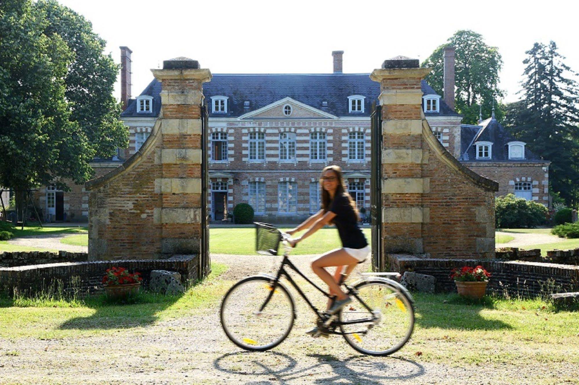 Château De La Giraudière à Villeny