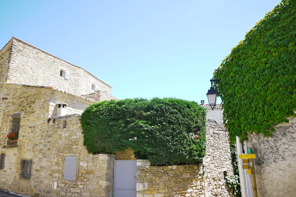 La Maison Des Vendangeurs