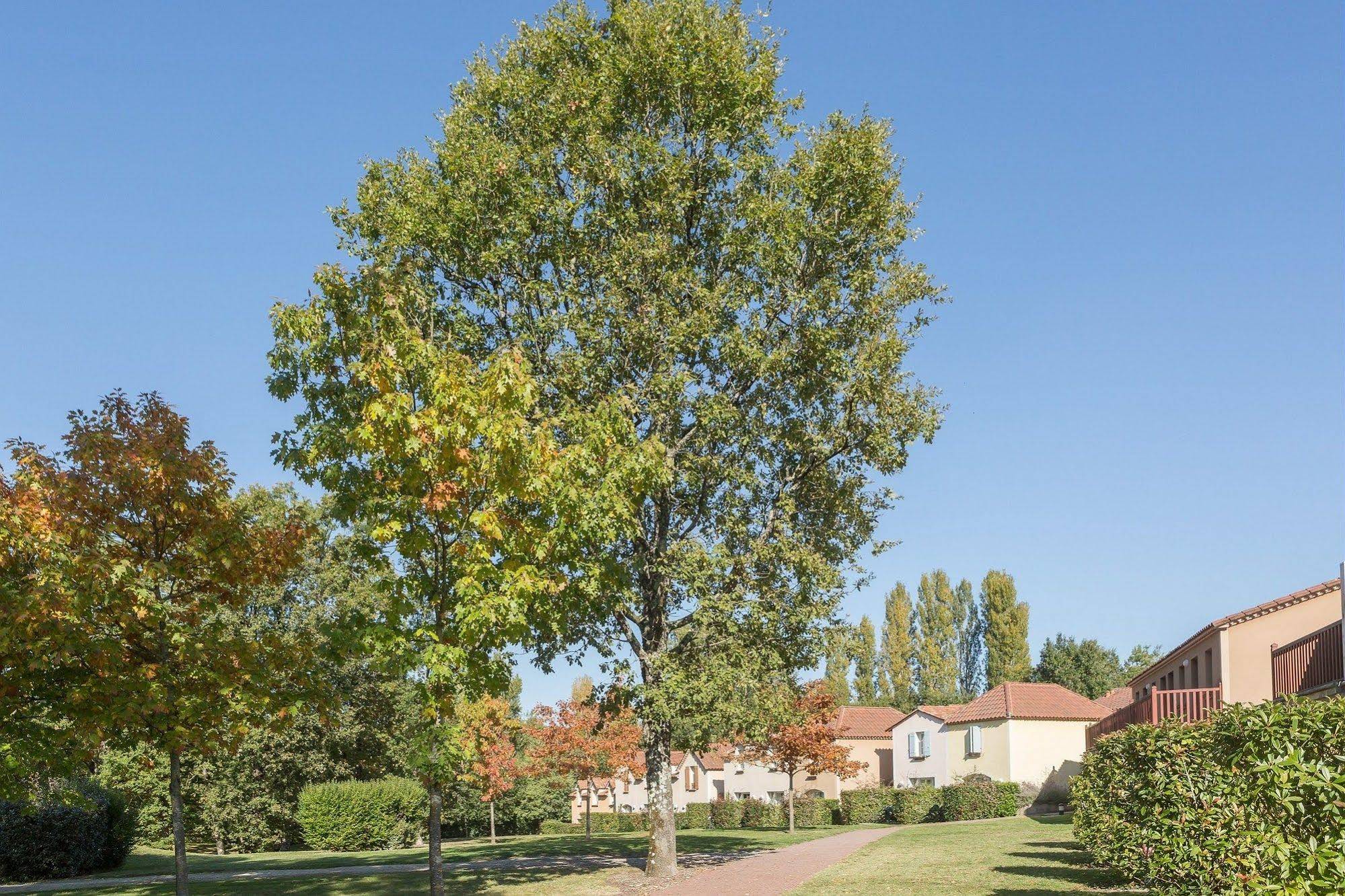 Résidence La Résidence du Lac
