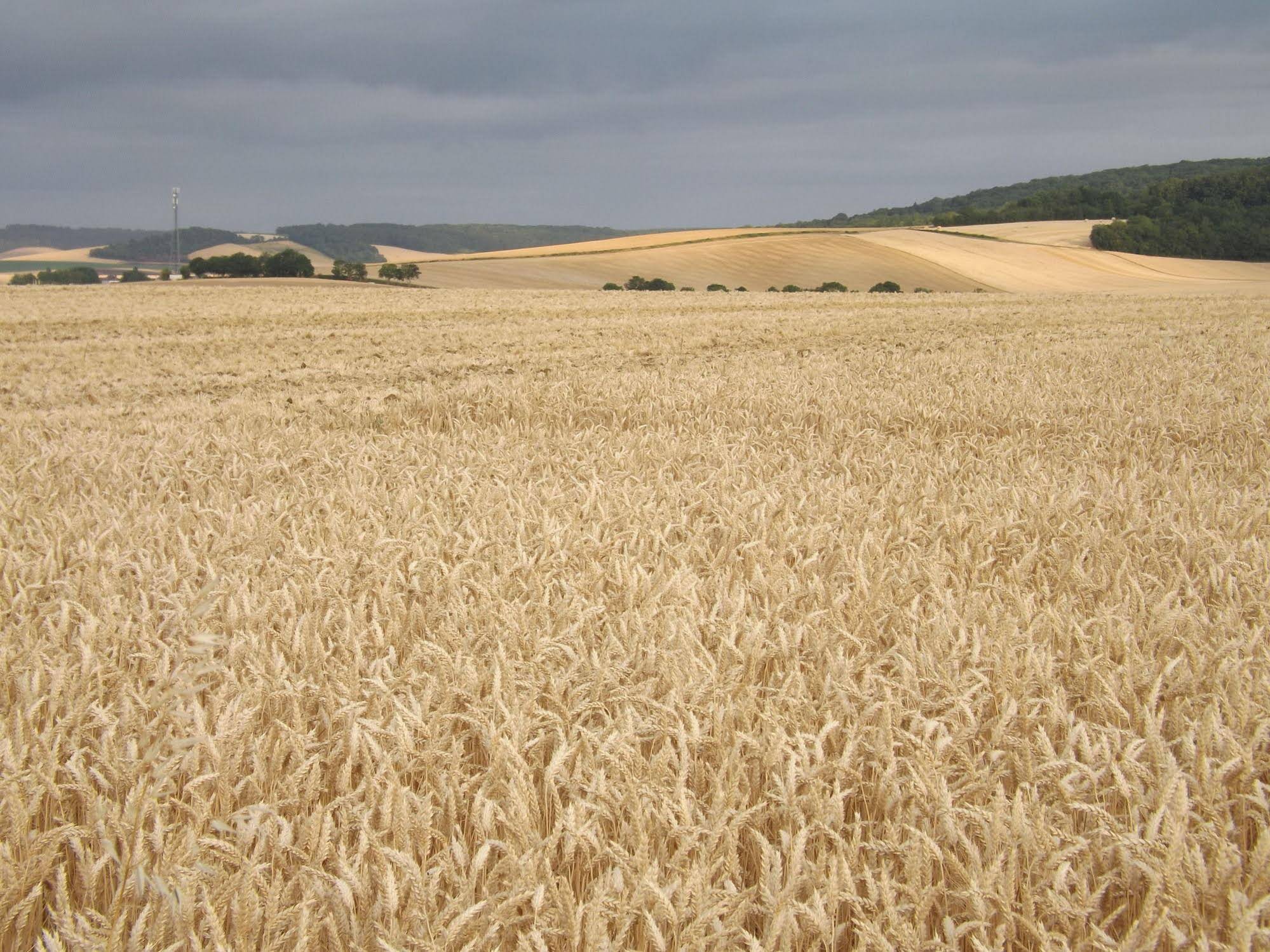 Chambres d'hôtes Le Clos Poli