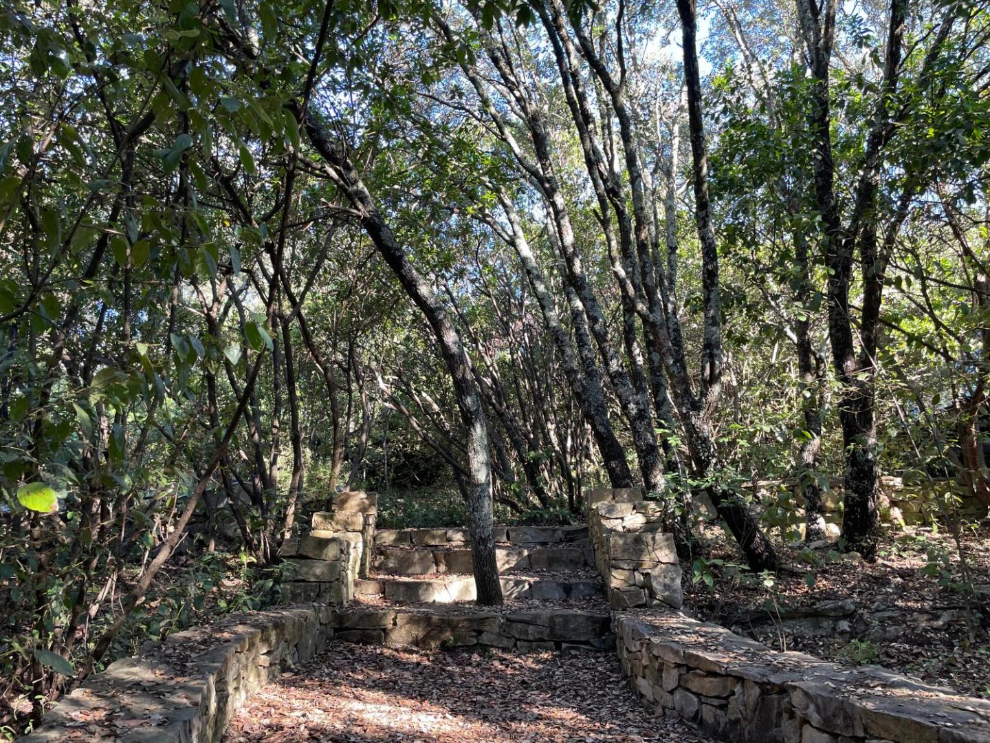 La Canopée Private Lodge