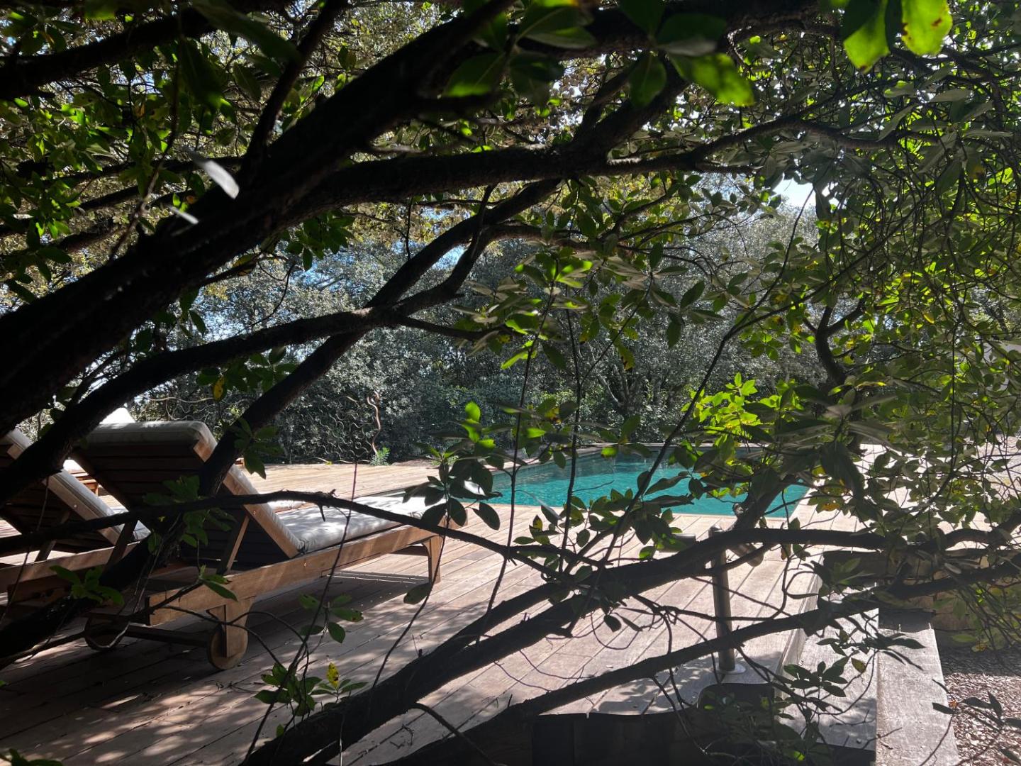 La Canopée Private Lodge