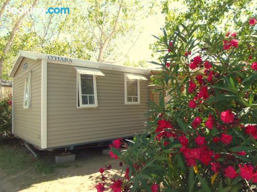Camping Le Rochelongue