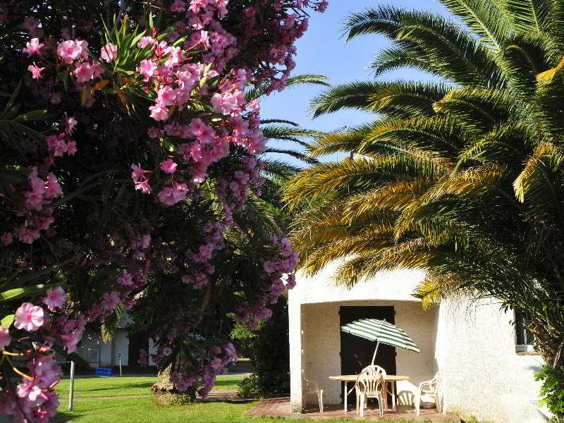 Domaine Du Mas Blanc Residence De Touris