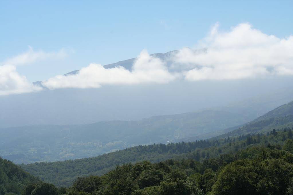 Les Eaux Tranquilles