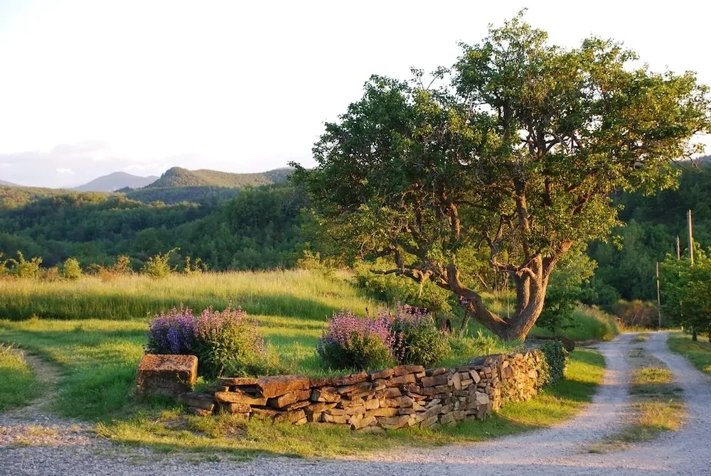 Domaine Bellelauze
