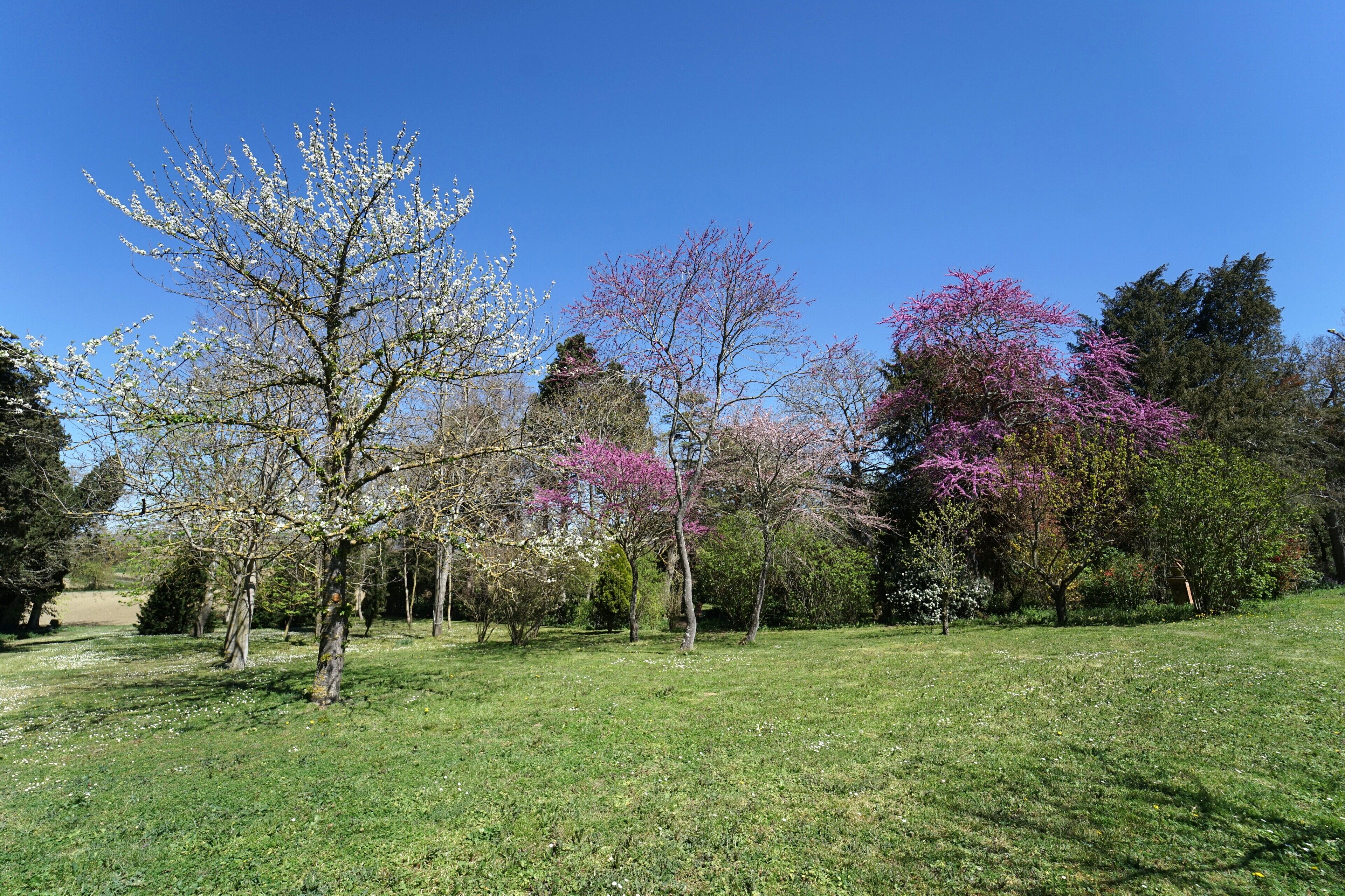 Domaine De Lanis