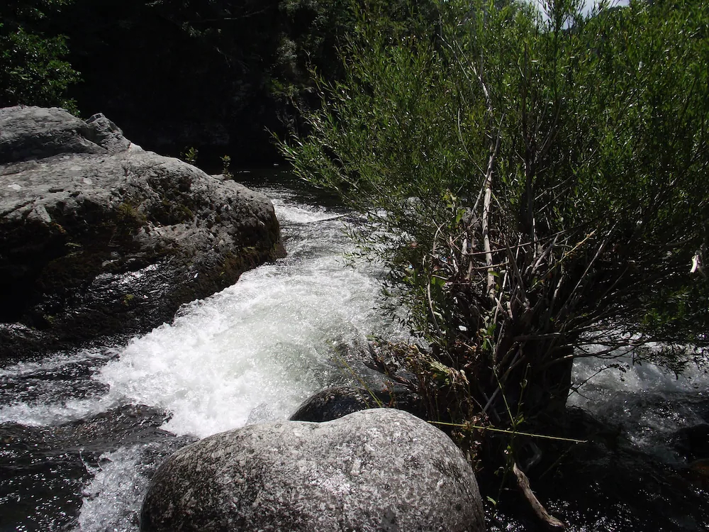 Au Mas Des Sources Cevenol