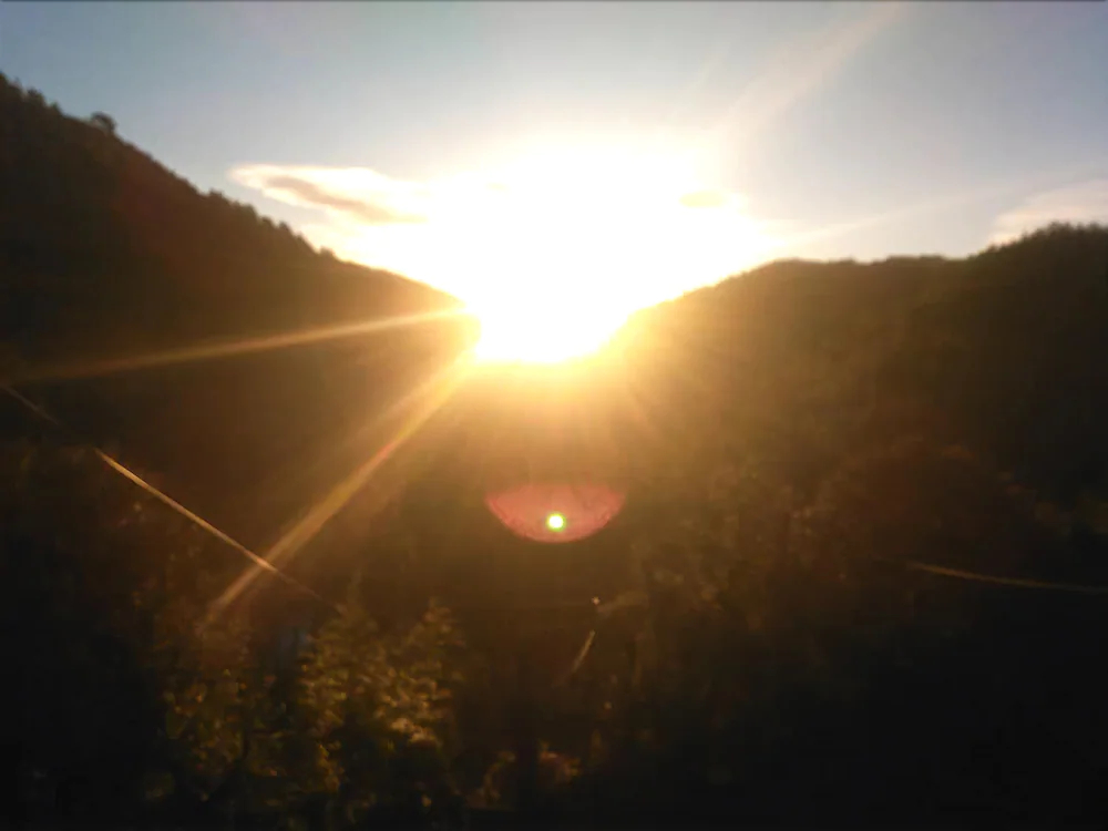 Au Mas Des Sources Cevenol