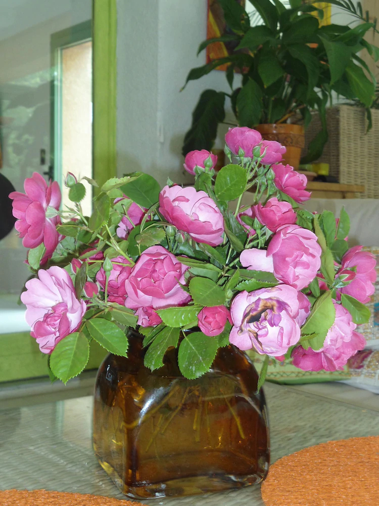 Couleur Nature Cevennes