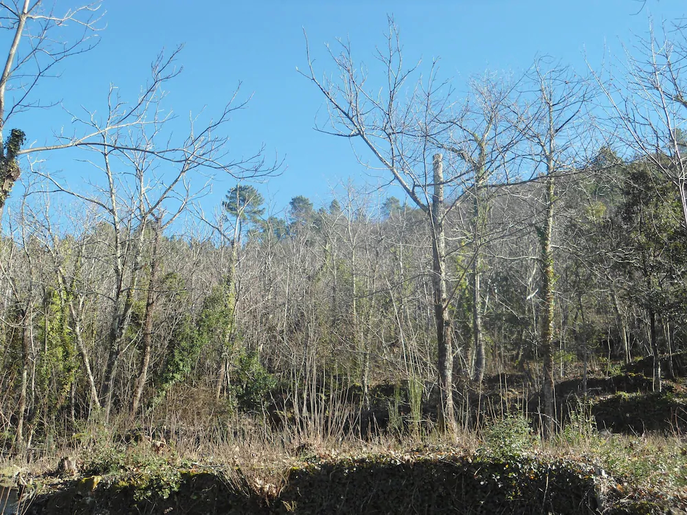 Couleur Nature Cevennes