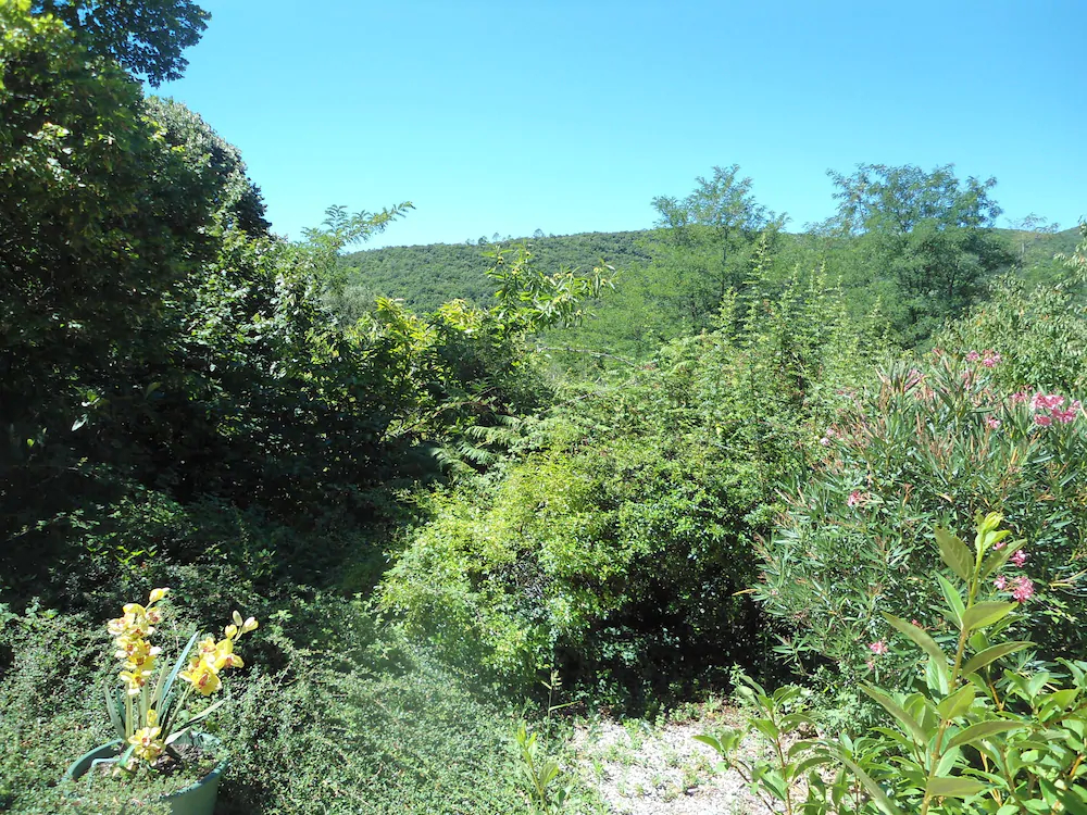 Couleur Nature Cevennes