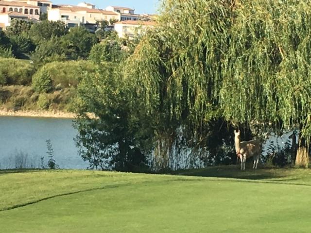 Hôtel Golf Fontcaude