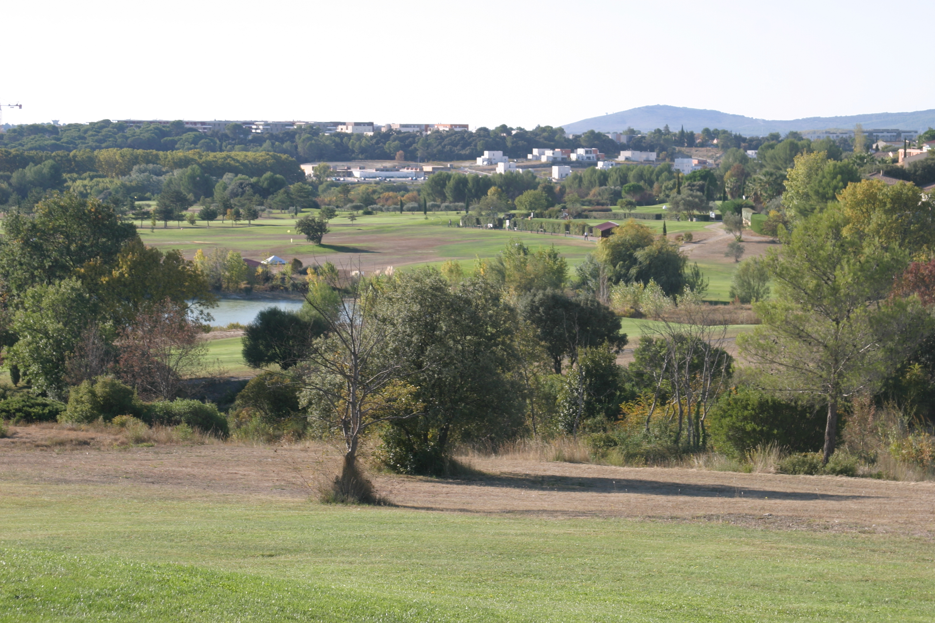 Résidence Côté Green