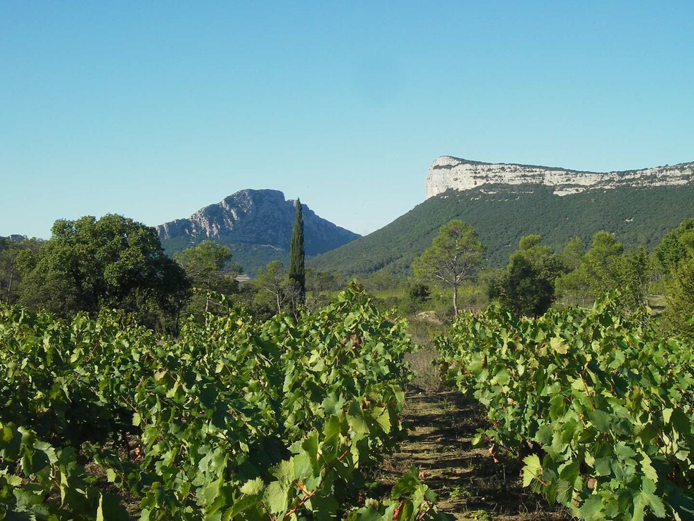 Camping Le Camarguais