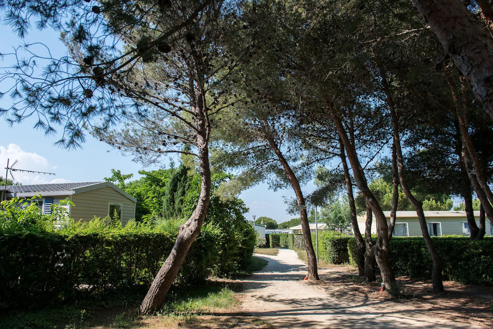 Camping Le Lac des Rêves