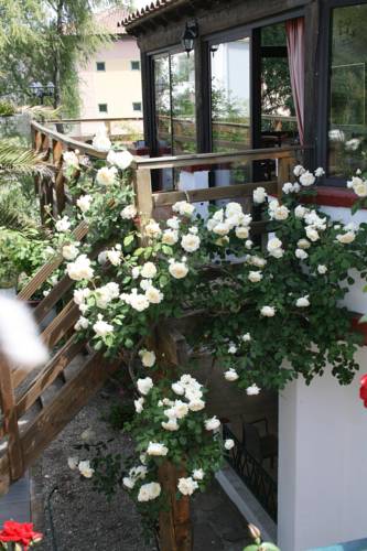 L'Atelier Du Soulondre