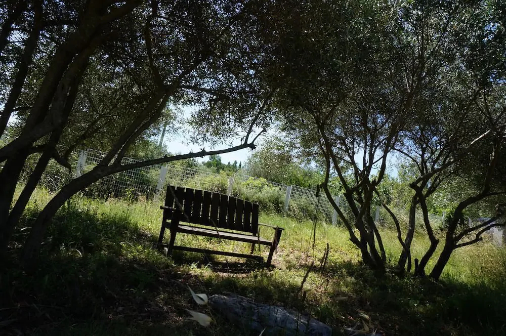 Ecoutez Les Oiseaux