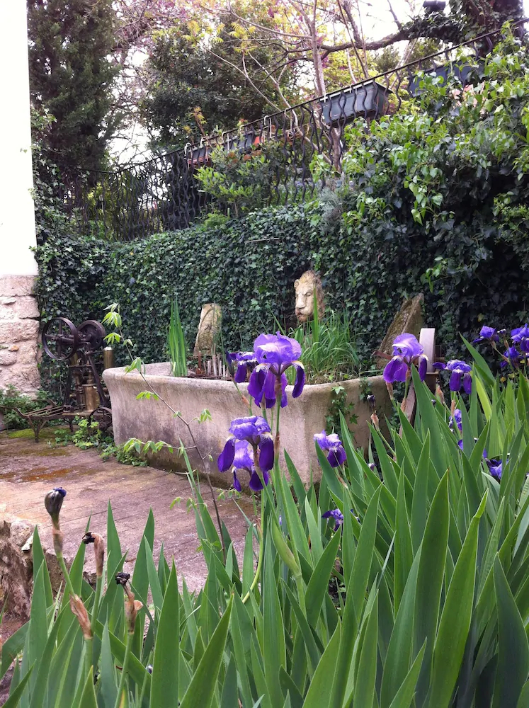 Le Mas Des Fontaines