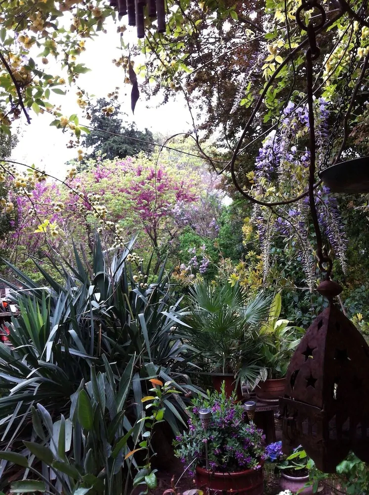 Le Mas Des Fontaines