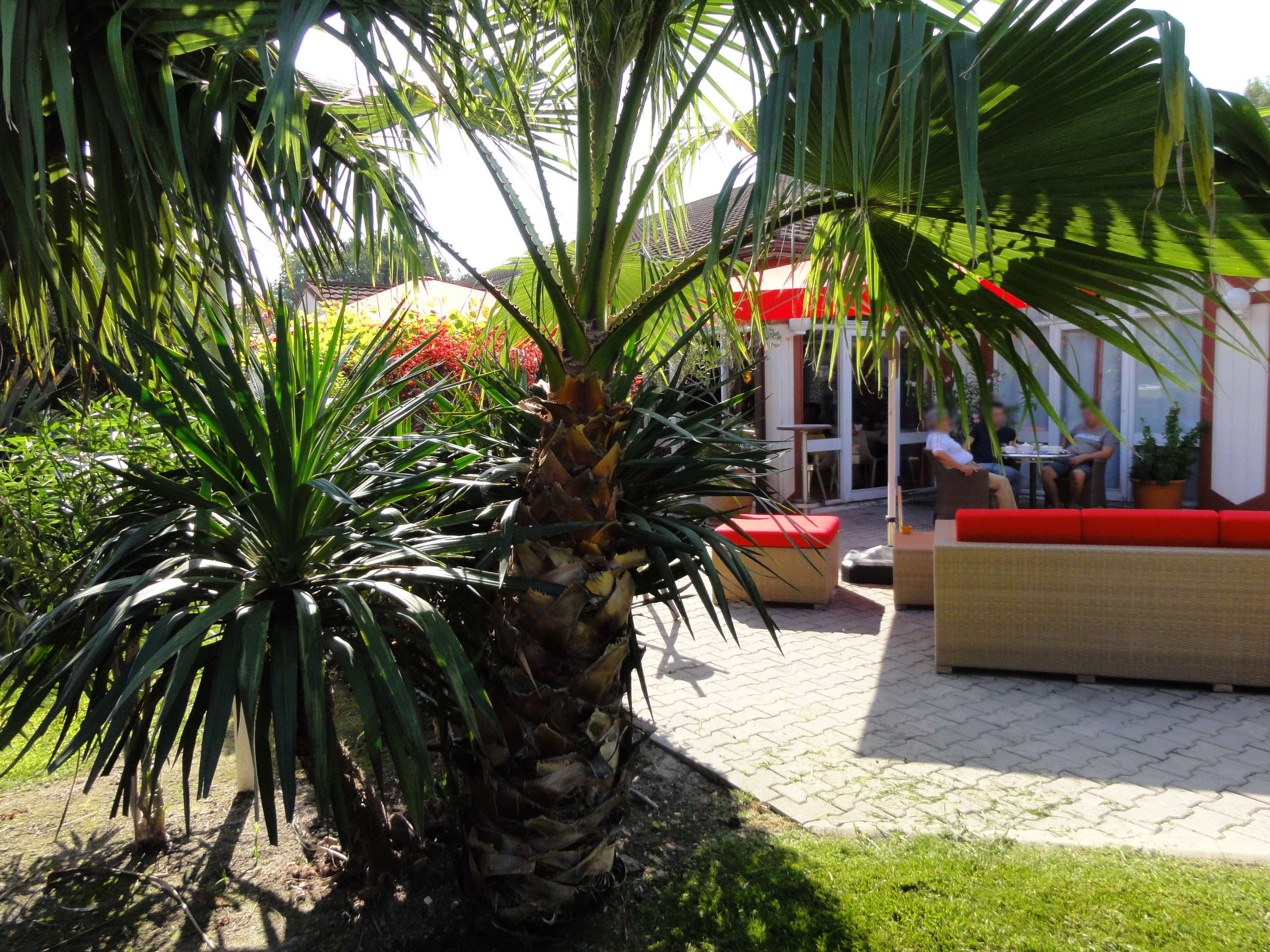 Hotel Kyriad Nîmes Ouest