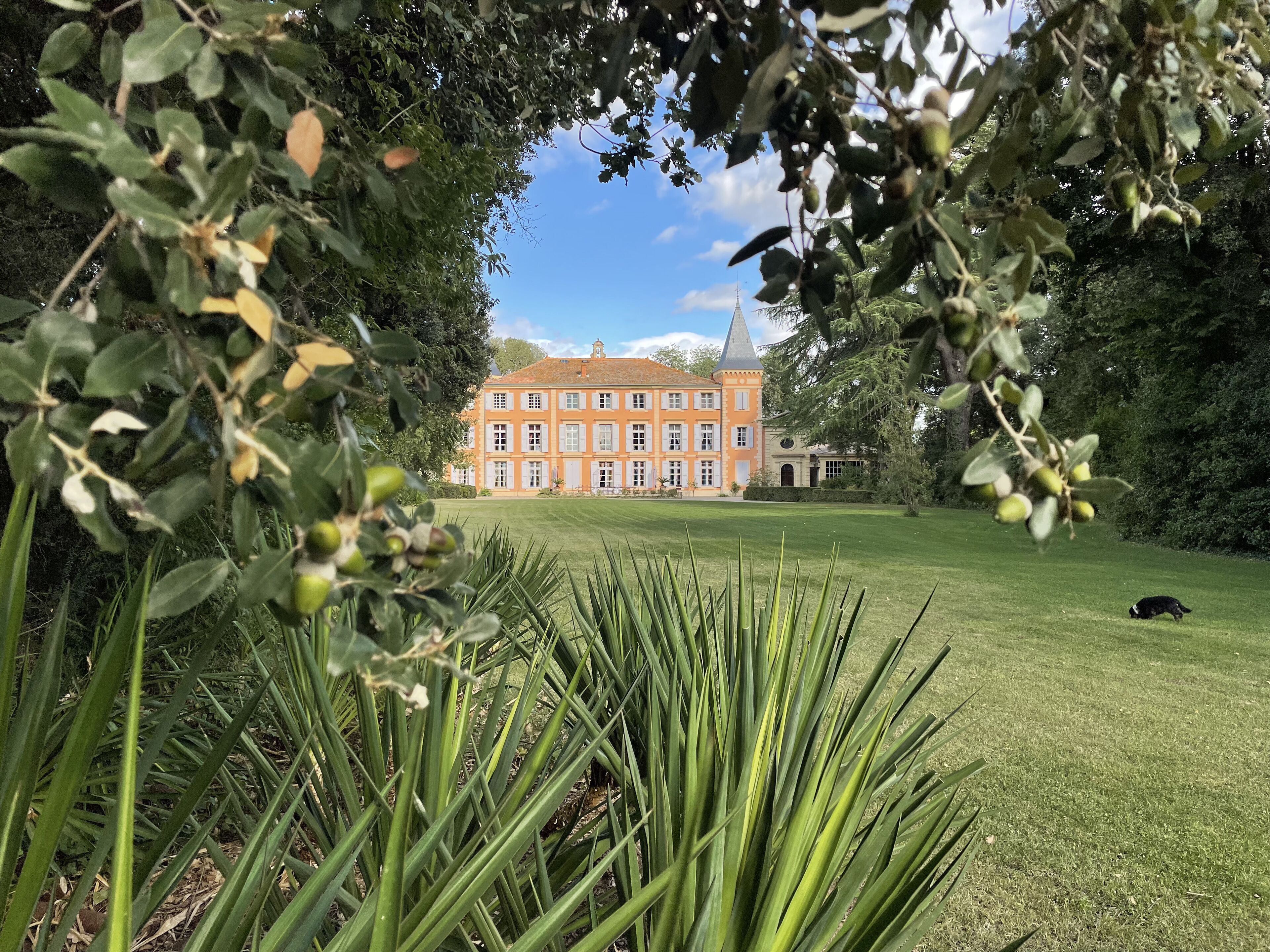 Château de Roquelune