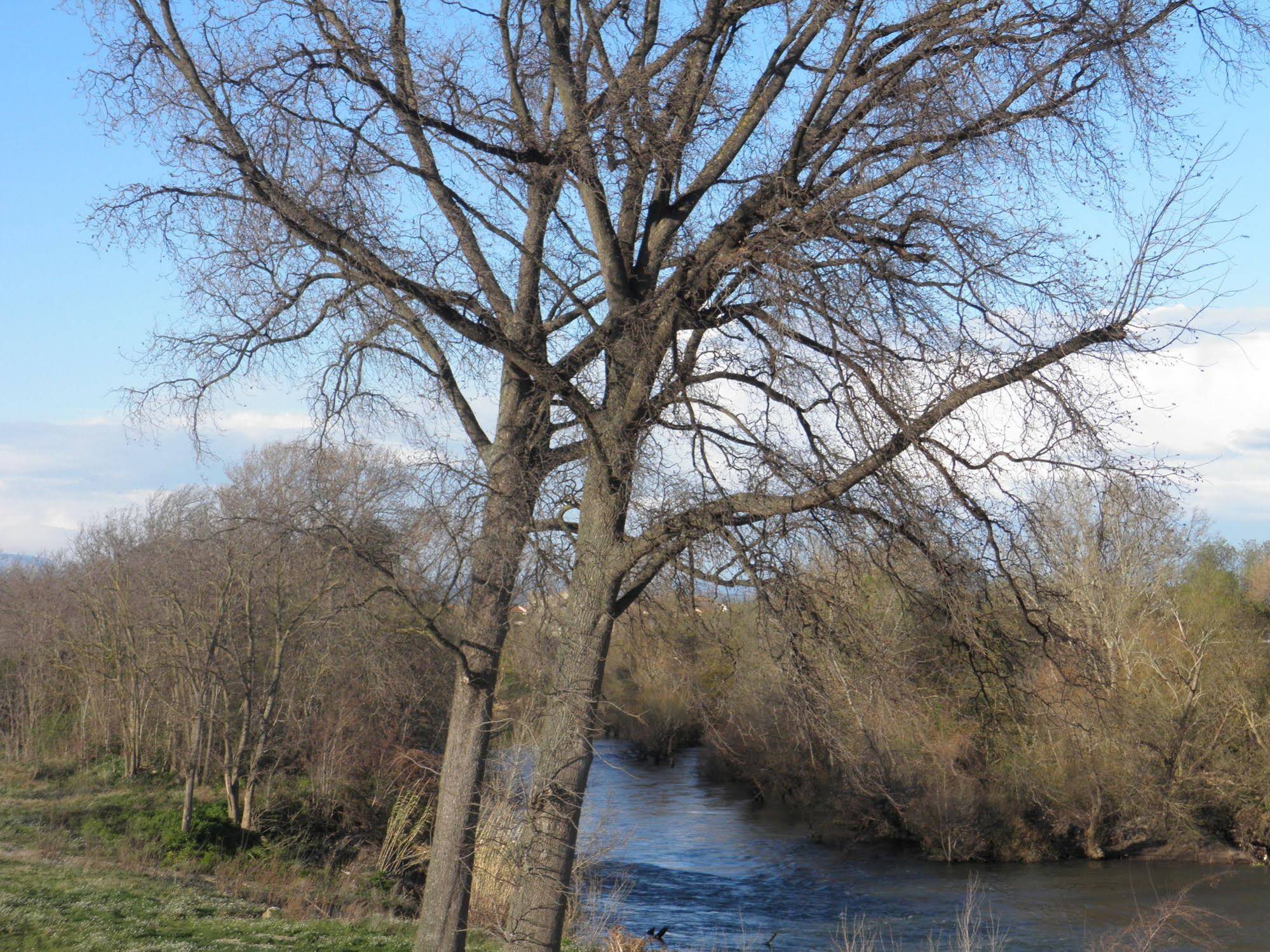 Domaine De L'aube Des Temps