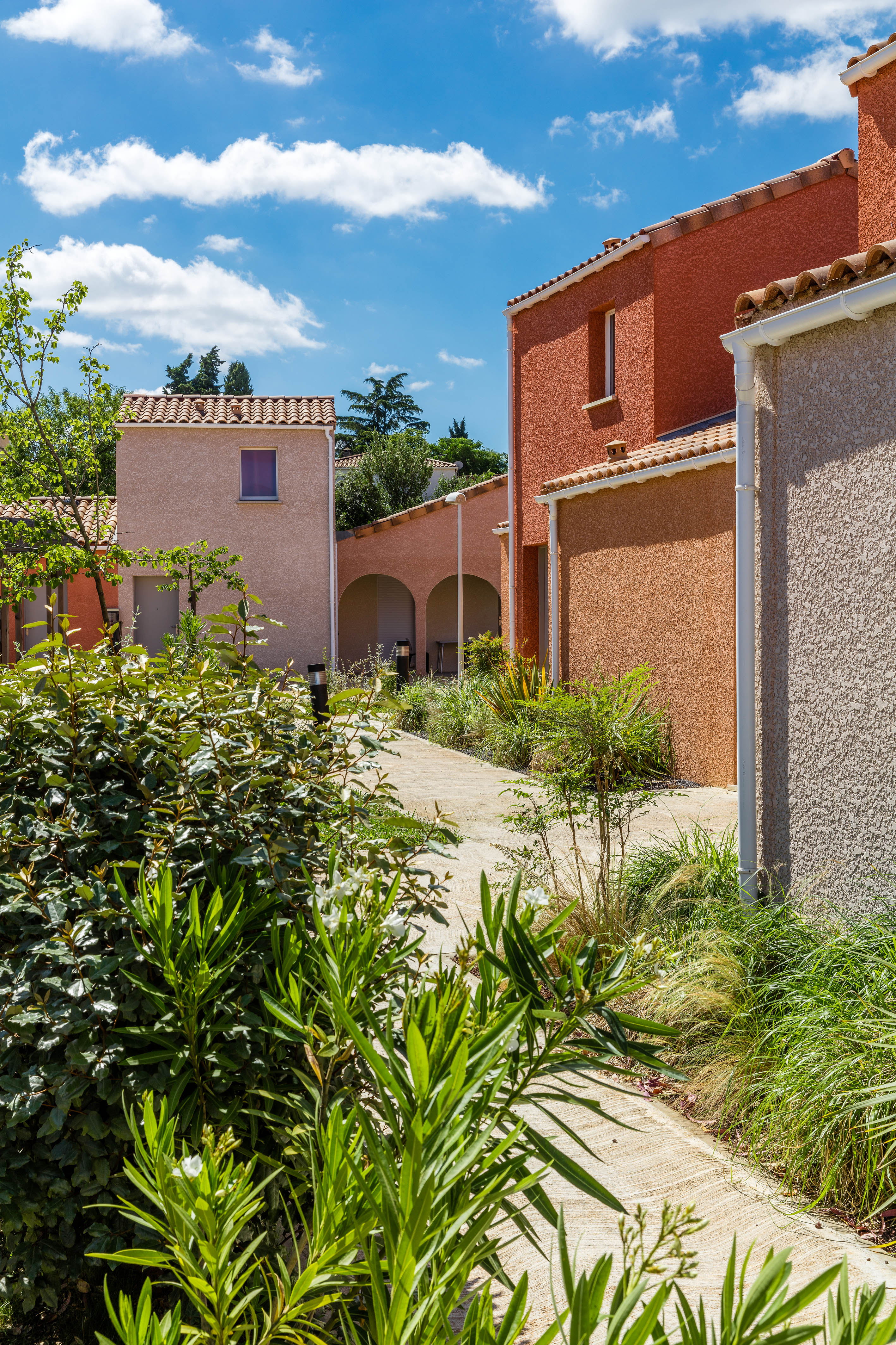 Terres de France - Domaine de Bacchus