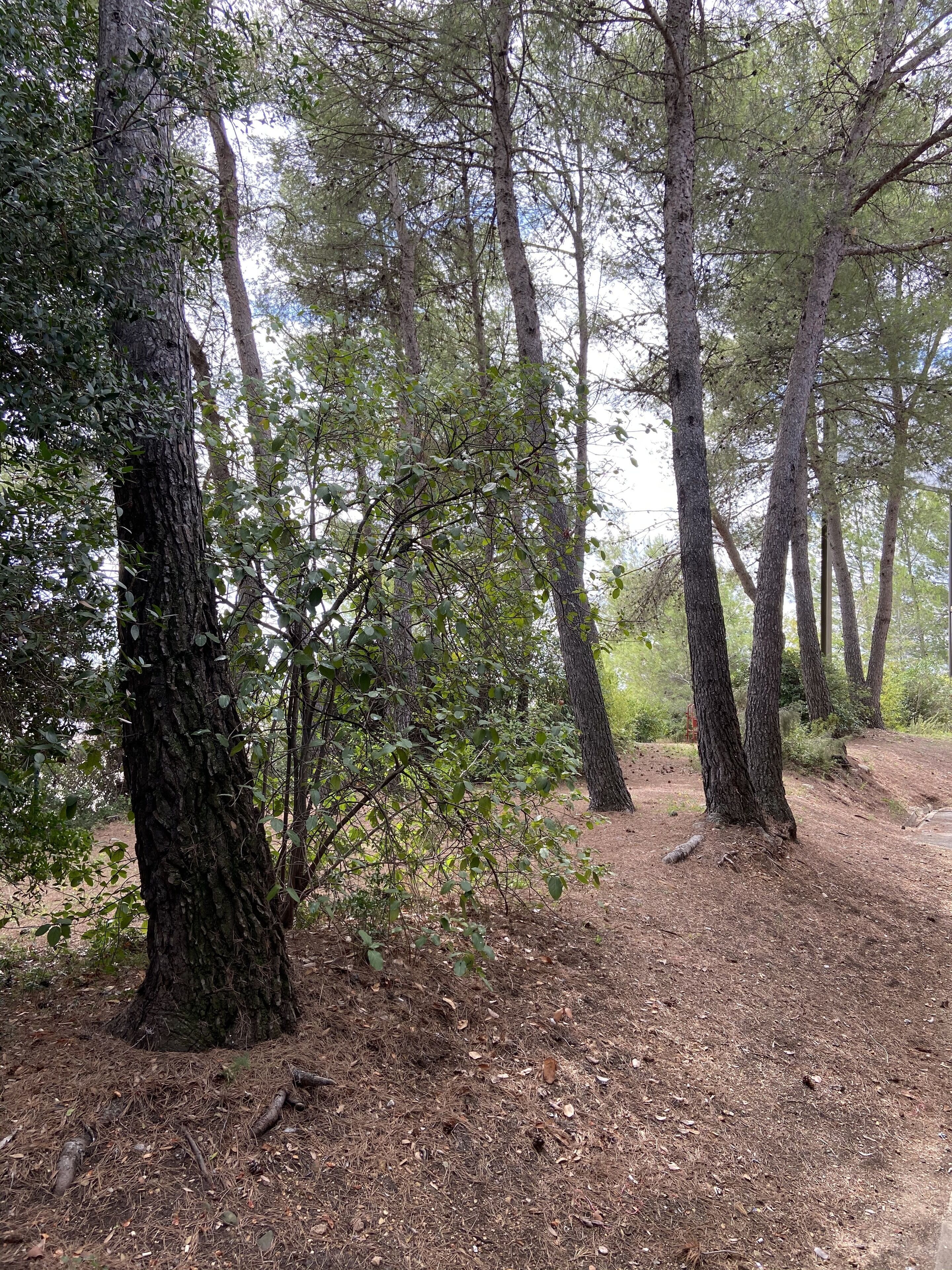 Kyriad Montpellier Nord- Saint-Clément-de-Rivière