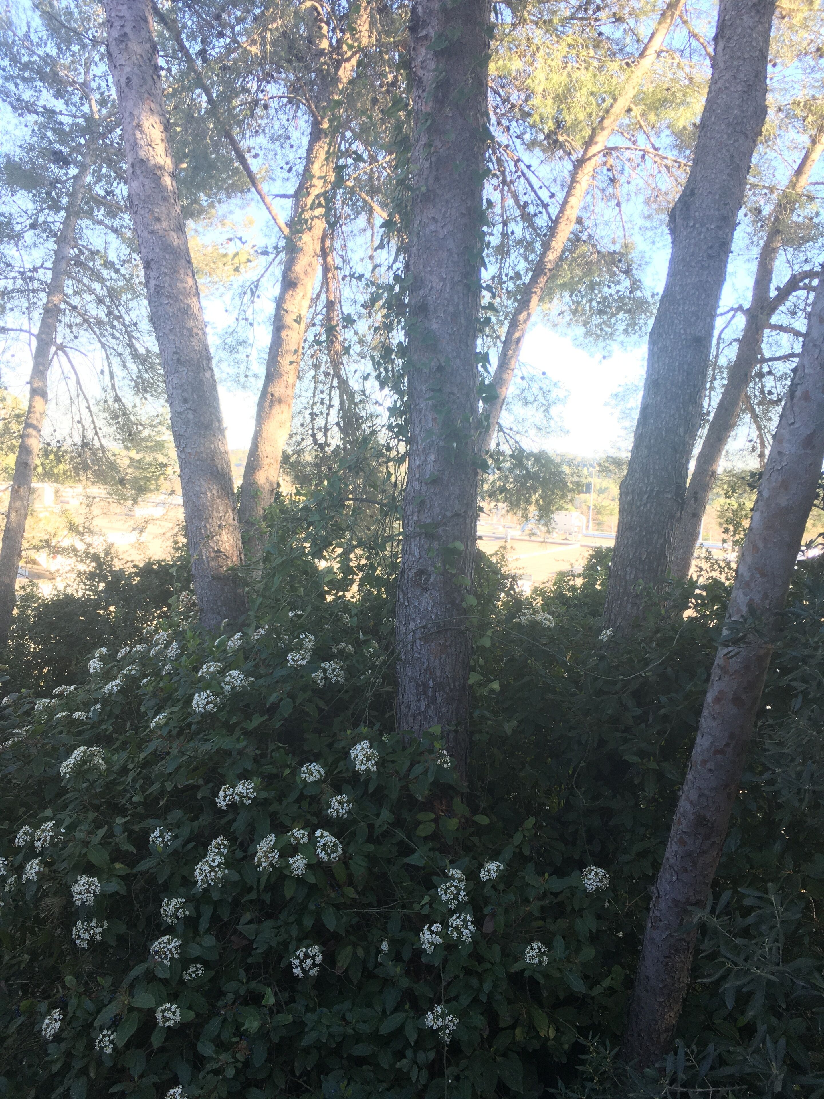 Kyriad Montpellier Nord- Saint-Clément-de-Rivière